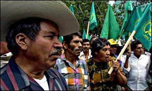 Mexican farmers prot...
