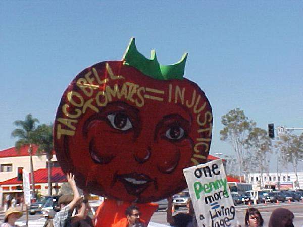 Tomato Head Sign...