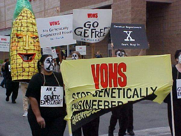 NO GMOs!...