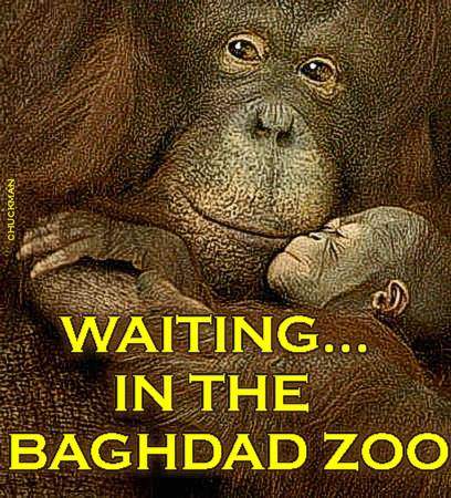 IN THE BAGHDAD ZOO...