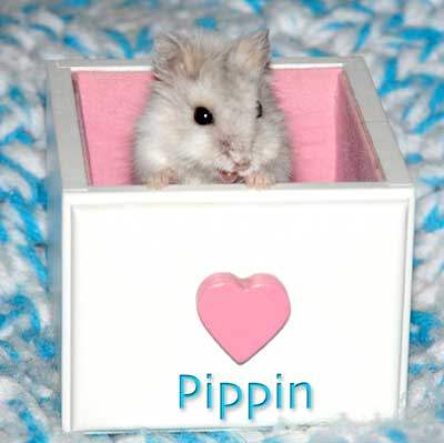 everyone loves Pippi...