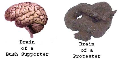 Brains...