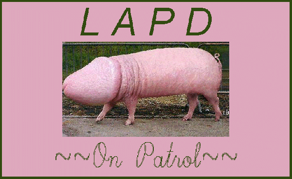 LAPD on Patrol...