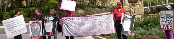 CODE PINK at the Mus...