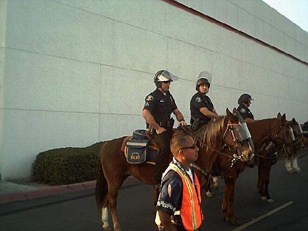 Mounted horse patrol...