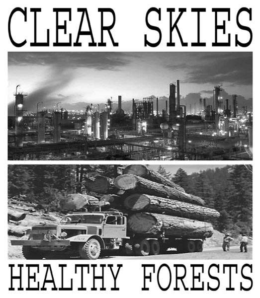 CLEAR SKIES HEALTHY ...