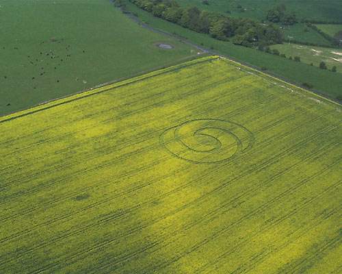 First Crop Circles o...