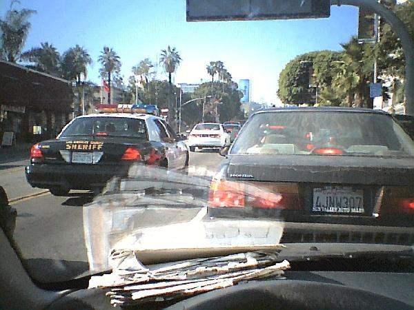 LA Sheriffs Show Gan...