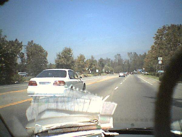 Way More Photos Cont...
