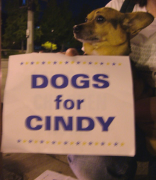 Dogs For Cindy...