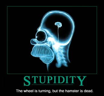 stupidity v accompli...