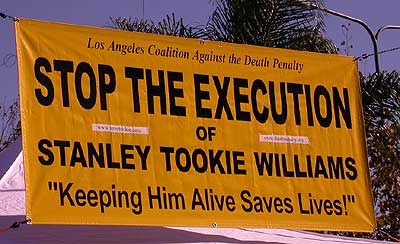 Stop the Execution o...