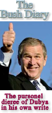 The Bush Diary...