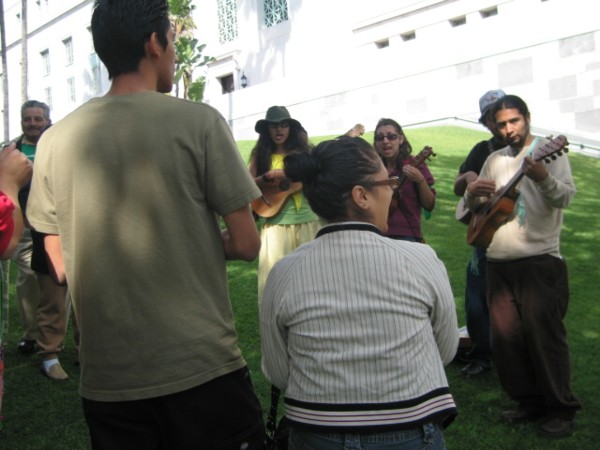 on the lawn...