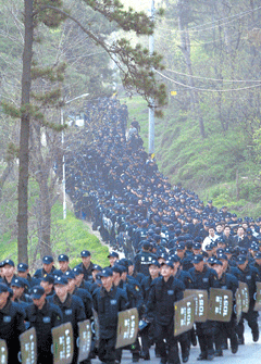 Korean Troops Occupy...