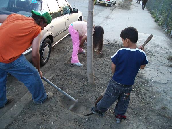 kids loosening soil...