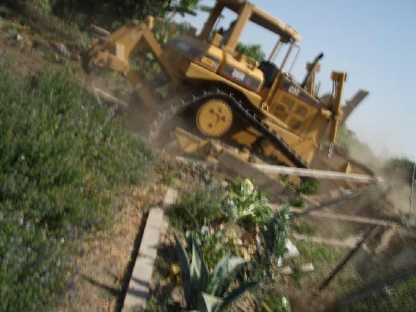 plots destroyed...