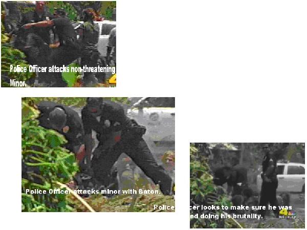LAPD Police Brutalit...