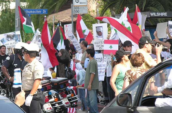 Pro-Libanese, Palest...