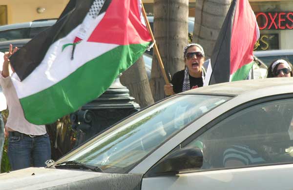 Pro-Libanese, Palest...