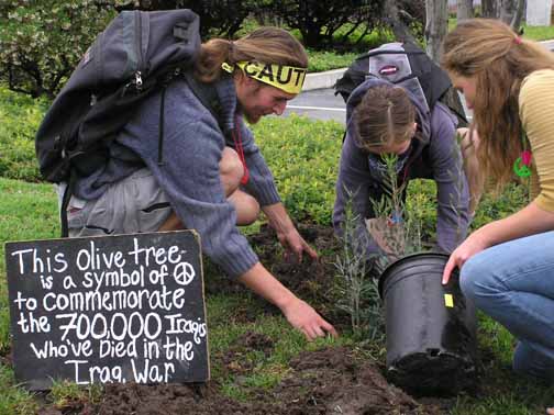 Peace Tree Planting...