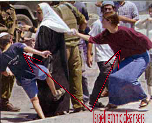 Israeli ethnic clean...