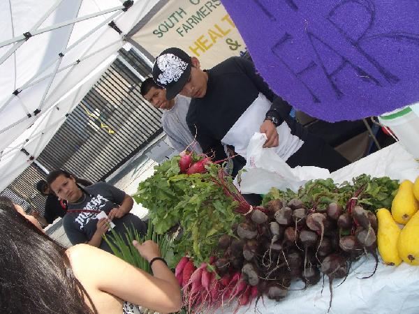 south central farmer...