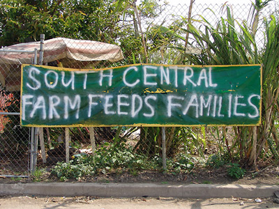 South Central Farmer...