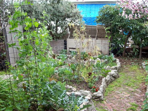 Eco-Home garden...