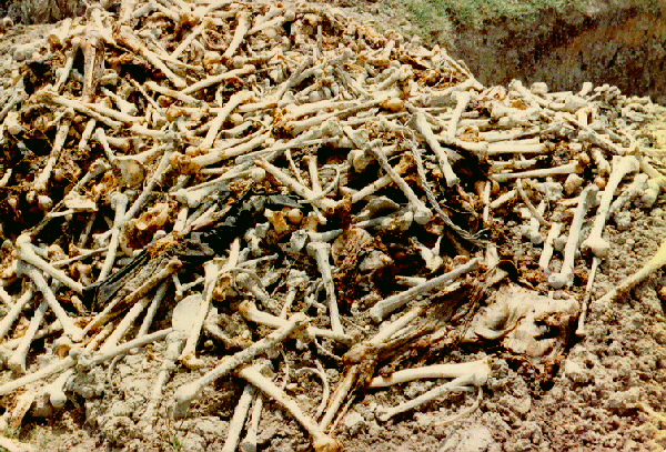 Cambodia Genocide...