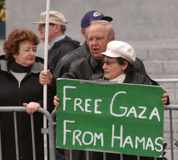 Pro-Israel counter-d...