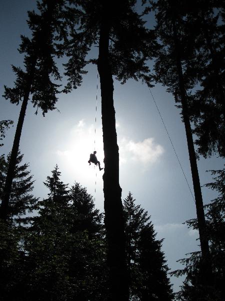 Cascadia Summer Acti...