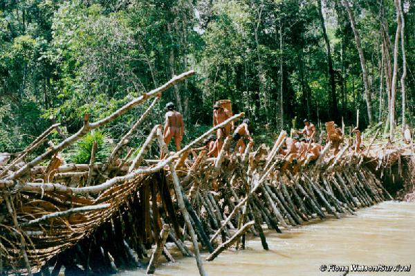   Amazon tribe’s u...