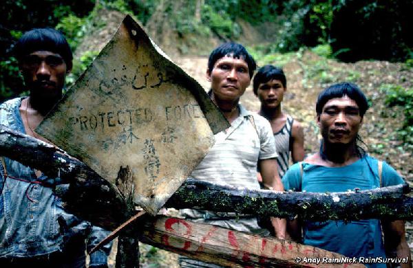  Borneo tribes: 30-y...