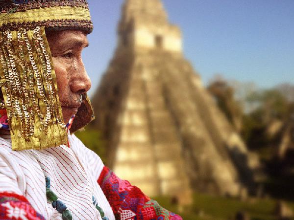 The Maya Grand Elder...