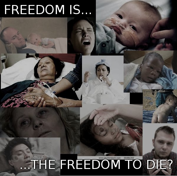 Ron Paul : Freedom t...