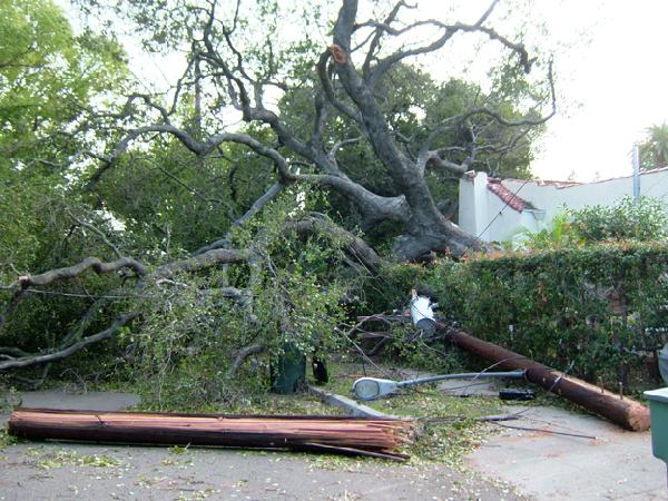 Downed Power Lines a...