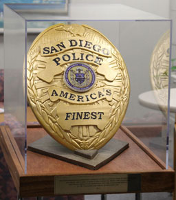 Privatized Police...