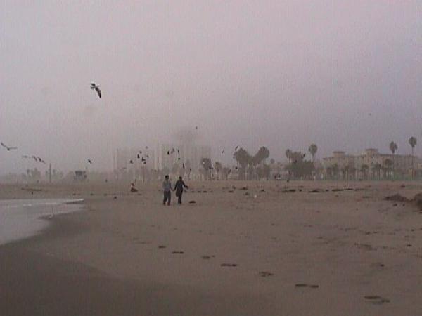 Venice Boardwalk has...