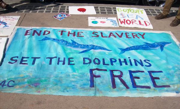 Leave dolphins free,...
