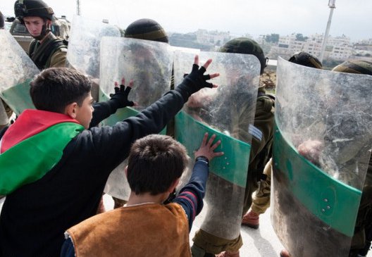 Palestinian Human Sh...
