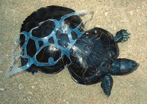 please save plastic...
