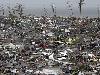 A Call for Donations to help the victims of Typhoon Haiyan in the Philippines