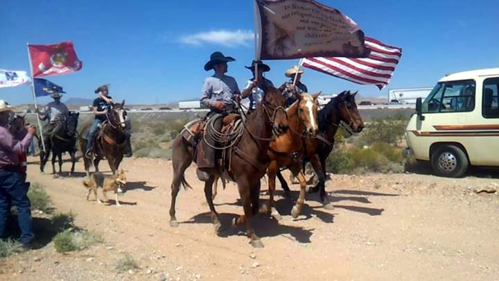 Volunteer cowboys de...