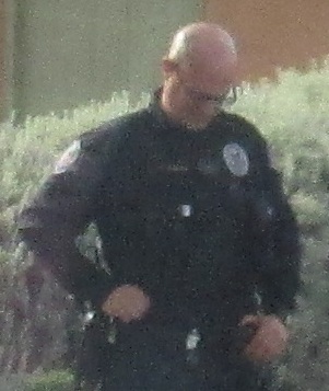 Mesa Police force ma...