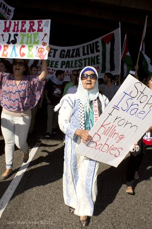 Los Angeles Anti Israeli Protestors