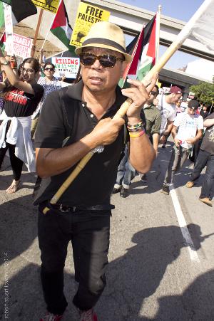 Los Angeles Anti Israeli Protestor