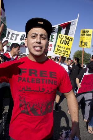 Free Palestine / Los Angeles Anti Israeli Protestor
