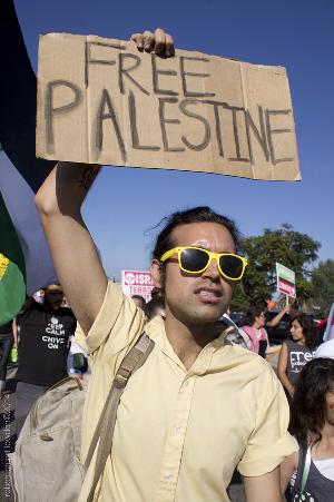 Free Palestine / Los Angeles Anti Israeli Protestors