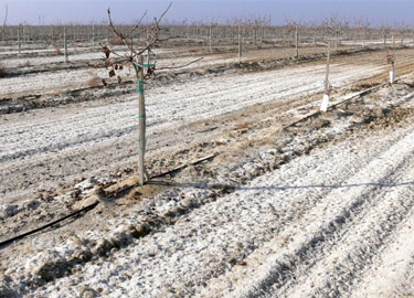 got water got soil g...